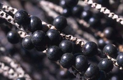 jakie gry z xbox dzialaja na xbox 360 jakie gry z xbox dzialaja na xbox 360