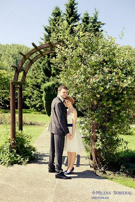 jakie gry wyscigowe polecacie na pc