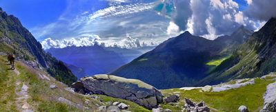 jakie gry w ps plus czerwiec 2016