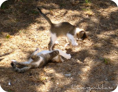 jakie gry free to play polecacie na steam